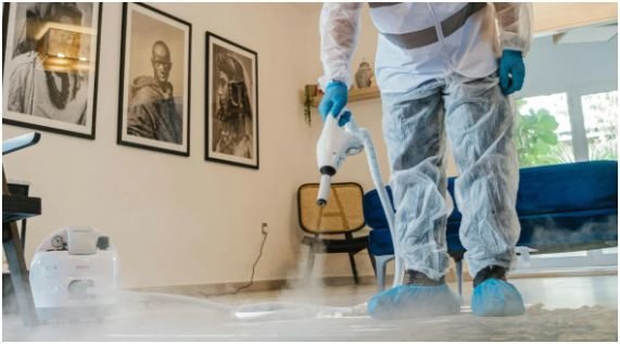 What Should You Know Before Starting a Carpet Cleaning Business?