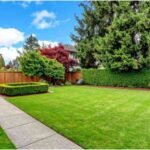 6 Weekend Yard Projects That Deliver Big Visual Impact