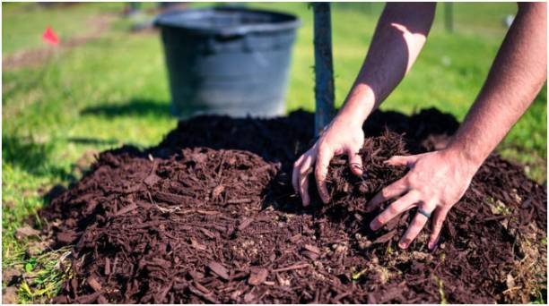 Refresh Your Mulch Beds