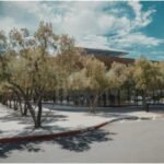 How to Attract More Customers with a Well-Designed Parking Lot