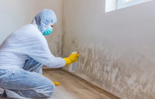 Preventing and Managing Mold