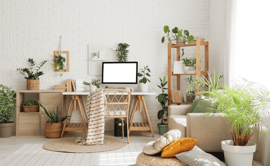 Planning Your Creative Zone