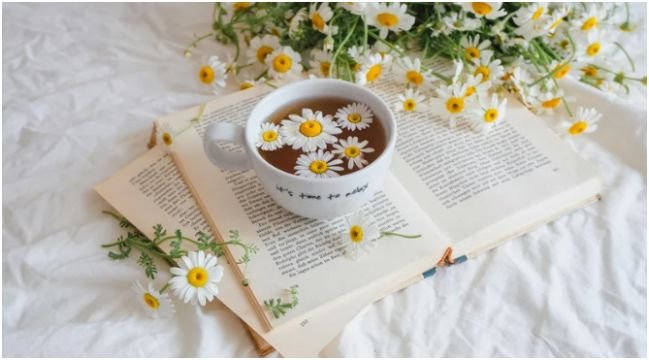 Is This Just Aesthetic, or Does It Actually Help Mental Health?