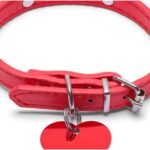 A Dog Owner's Guide to Perfect Custom Pet Tag Sizes