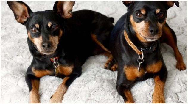 Metal Weight Impacts Daily Comfort